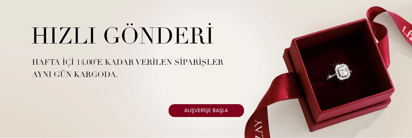 Hızlı Gönderi New