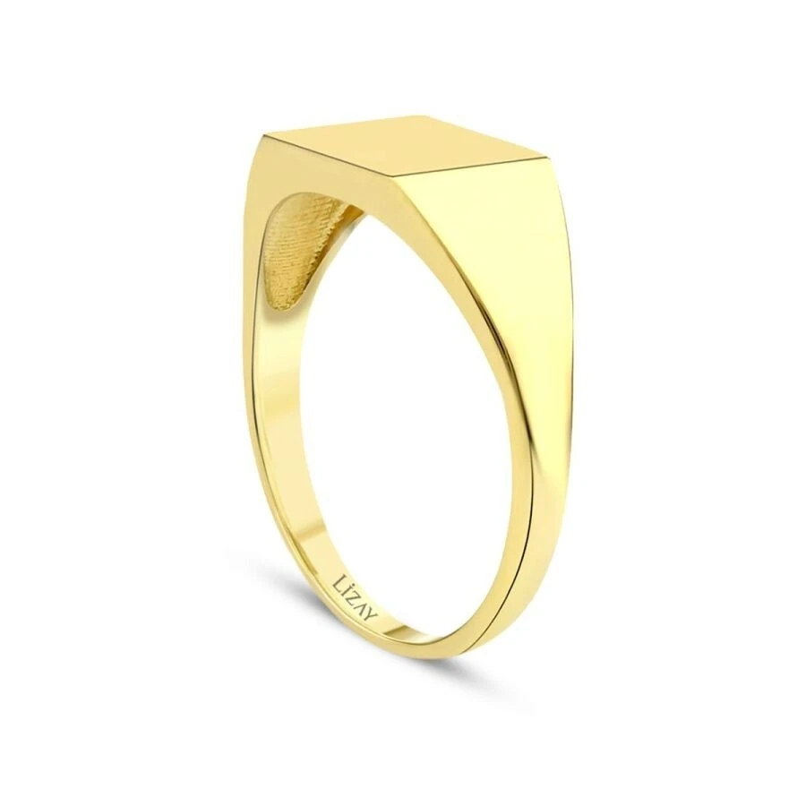 Altın Şövalye Yüzük - 2