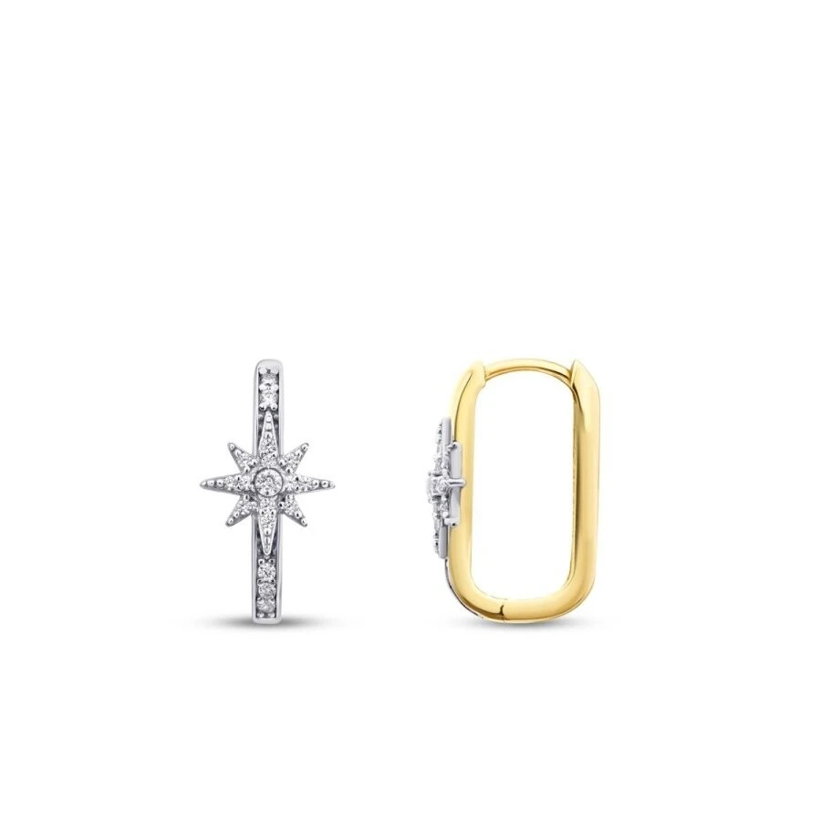 Altın Taşlı Kuzey Yıldızı Küpe - 1