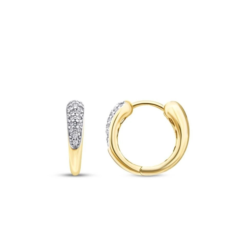 Altın Taşlı Yuvarlak Halka Küpe - 1